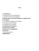 Los lipidos. Composicion de los lípidos.