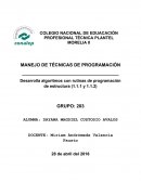 MANEJO DE TÉCNICAS DE PROGRAMACIÓN