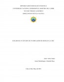 Análisis de proyecto.