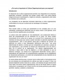 ¿Por qué es importante la Cultura Organizacional para una empresa?