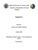 Ensayo de español 2