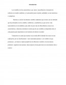 INTRODUCCION VARIABLES