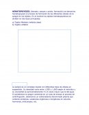 Es el proceso de formación de los eritrocitos.