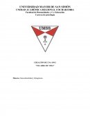 CREACIÓN DE UNA ONG “PALABRA DE VIDA”