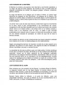 LOS PLIEGUES DE LA MATERIA.