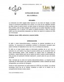 Extraccion del ADN de la cebolla.