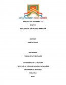 ESTUDIO DE UN HUEVO AMNIOTA