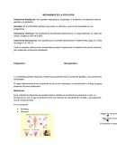 Mecanismos de la Evolución.