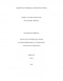 MARKETING EN EMPRESAS ANTIOQUEÑAS (PYMES)