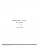 Gestión del conocimiento de la organización