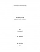 INFORME SALUD OCUPACIONAL.