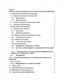 TRABAJO DE PRACTICAS PRE PROFESIONALES DE ADMINISTRACION. Página 1