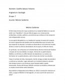 Ensayo México sediento