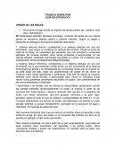 TRABAJO SOBRE RAÍZ GUÍA DE ESTUDIO N°2 ORIGEN DE LAS RAÍCES.