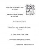 Factores de negociación Sindicatos y Patrones