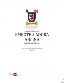 EMBOTELLADORA ANDINA FINANZAS