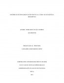 INFORME DE RETROALIMENTACIÓN FRENTE AL CURSO DE ESTADÍSTICA DESCRIPTIVA