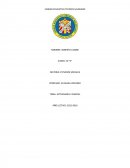 Estudios sociales. Actividades