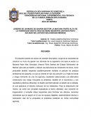 DISEÑO DE UN MURO DE GAVION SECTOR LA MACANA PARTE ALTA DE LA PARROQUIA SANTA CRUZ DE MORA MUNICIPIO ANTONIO PINTO SALINAS DEL ESTADO BOLIVARIANO MÉRIDA