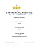 Planteamiento del problema. CONTADURIA PÚBLICA VIII SEMESTRE.