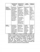 Criterios relevantes y positivos de la investigaciones
