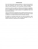 MEDICINA PREVENTIVA Y EL SISTEMA DE GESTIÓN DE SEGURIDAD Y SALUD EN EL TRABAJO (SST)