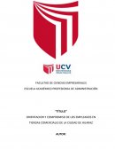 ORIENTACION Y COMPROMISO DE LOS EMPLEADOS EN TIENDAS COMERCIALES DE LA CIUDAD DE HUARAZ