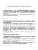 TAPAS DEL DESARROLLO PRENATAL, NIÑES Y ADOLESCENCIA