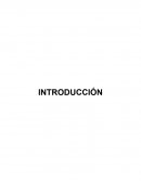 Diabetes Mellitus. FISIOPATOLOGÍA