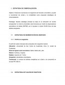 ESTRATEGIA DE SEGMENTACIÓN DEL MERCADO.