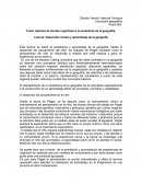 Aportes de teorías cognitivas a la enseñanza de la geografía.