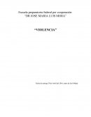 Violencia es una acción ejercida