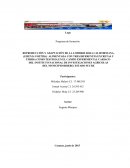 CULTIVOS DE LOMBRICULTURA