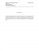 ENSAYO FILOSOFIA DE SAN AGUSTIN