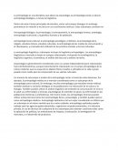 Antropologia es una disiciplina.