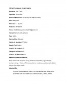 Tema: Ejemplo de currículum.