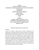 Dependencias organizacionales, una fuente de poder