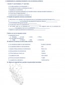 COMPRENSIÓN DE LA DIVERSIDAD GEOGRÁFICA Y DE LOS PROCESOS HISTÓRICOS