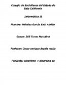 Diagrama de flujo informaticaю