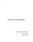 Chile trasnpuesto