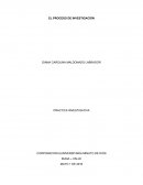 EL PROCESO DE INVESTIGACION.