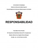 En este ensayo hablare sobre la responsabilidad en donde hablare de los diferentes tipos de responsabilidad que existen.