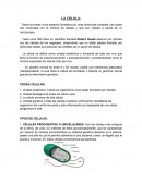 Todos los seres vivos estamos formados por unas diminutas unidades, las cuales son conocidas con el nombre de células y que son visibles a través de un microscopio. .