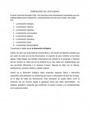 LAS DIMENSIONES DEL SER HUMANO.