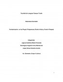 Contaminacion en playas chiapanecas.