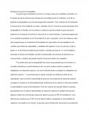 DESIGUALDAD EN COLOMBIA.