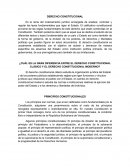 EL DERECHO CONSTITUCIONAL - RESEÑA.