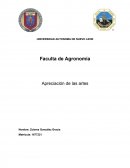 Es un acto donde usamos nuestro sentido de la vista para ver algo que nos rodea.