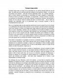 Compro luego existo.