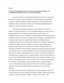 Ensayo antropología psicologica.